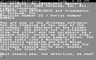 The Witness screenshot 3 for Commodore 64